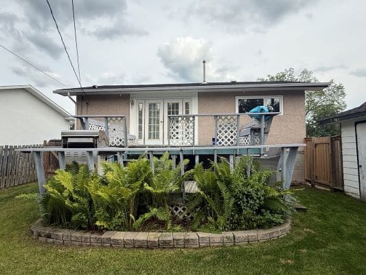 Small house with deck and garden ferns.