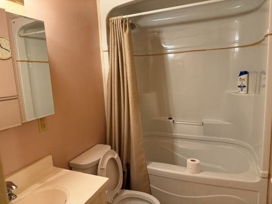 Small bathroom with shower and toilet.