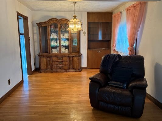 Living room with cabinet and armchair.