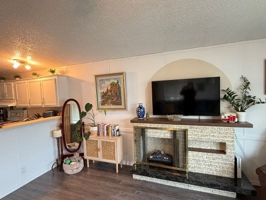 Living room with TV and fireplace.