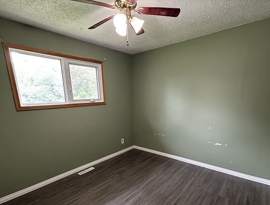 Empty room with green walls and window.