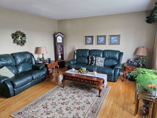Cozy living room with green leather sofas.