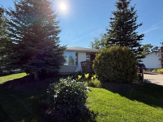 House surrounded by trees and bright sunlight.
