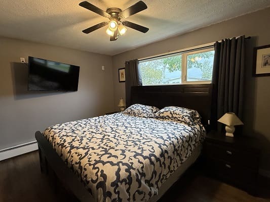 Bedroom with bed, TV, and ceiling fan.