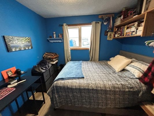 Cozy bedroom with blue walls and decor.