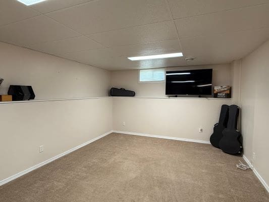 Basement room with TV and guitar cases.