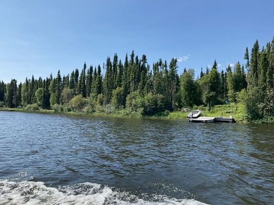 River with trees and a small dock.