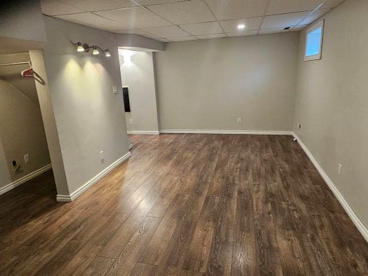 Basement room with wooden floor and lighting.