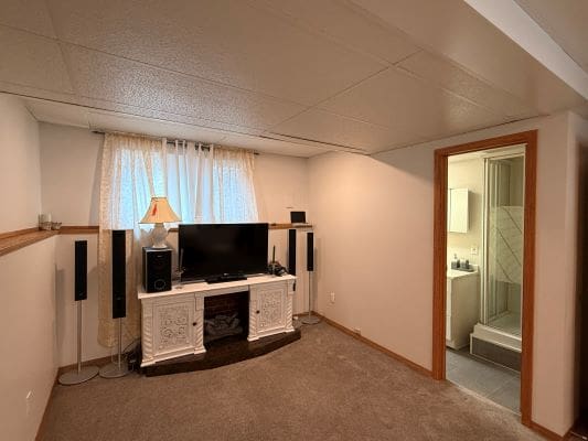 Basement living area with TV and bathroom.