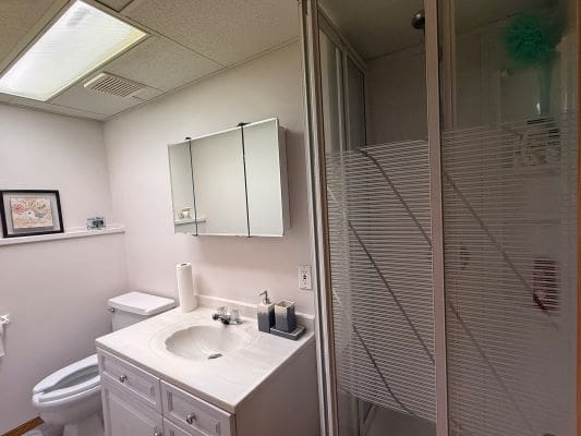 Small bathroom with shower and vanity area.