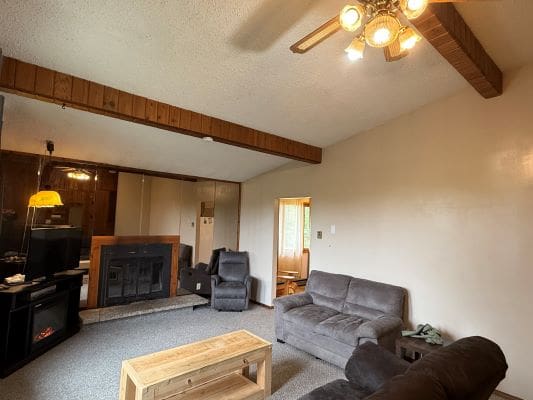 Cozy living room with fireplace and couches.