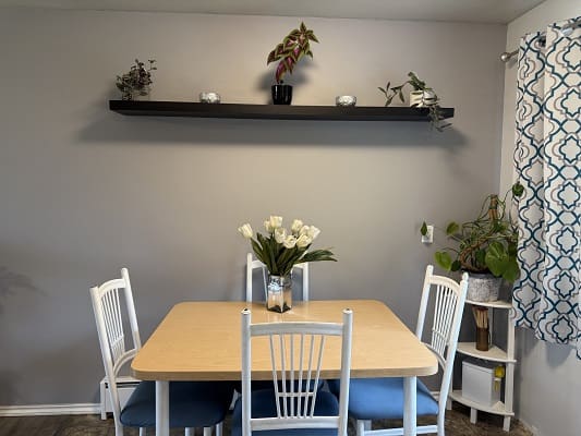 Dining area with table and wall shelf.