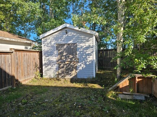 White shed in a sunny backyard.