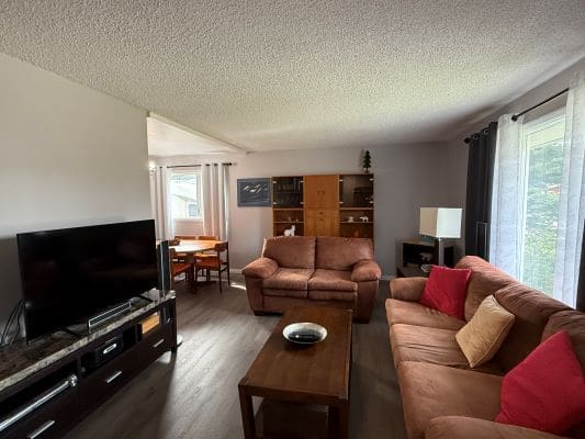 Cozy living room with brown sofas, TV.