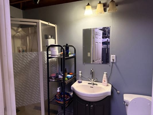 Small bathroom with sink and shower stall.