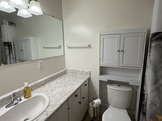 Modern bathroom with sink and toilet.