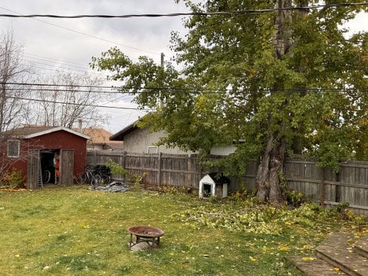 Backyard with shed, trees, and doghouse.