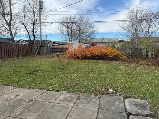 Backyard with grass and orange bushes.