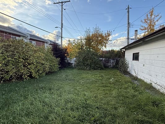 Backyard with grass and surrounding bushes.