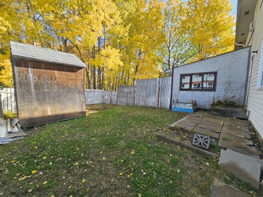 Backyard with shed, trees, and autumn leaves.