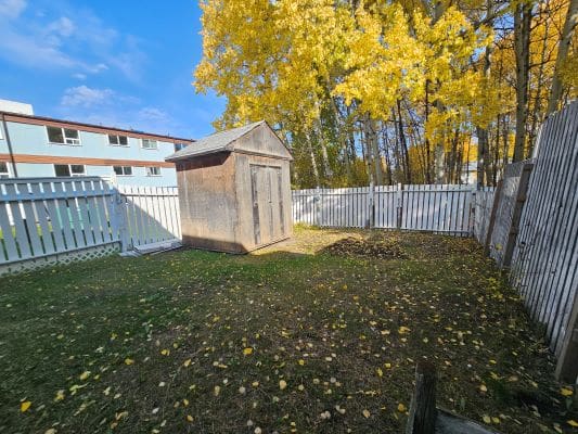 Wooden shed in fenced backyard with trees.