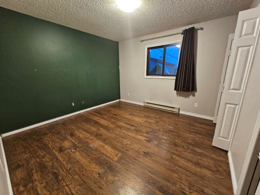 Empty room with green accent wall.