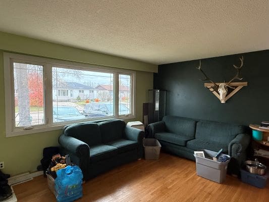 Living room with sofas and mounted antlers.