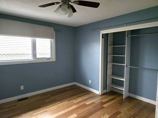 Empty blue room with open closet.