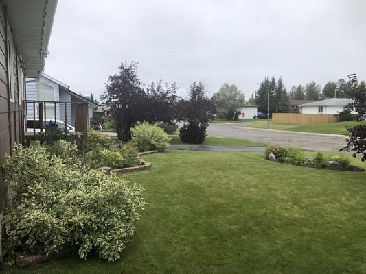 Suburban yard with lush green grass.