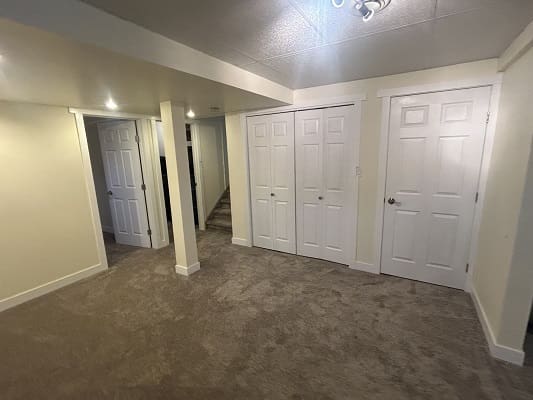 Basement room with carpet and white doors.