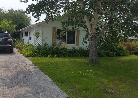 Ranch-style house with driveway and tree.