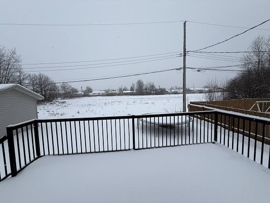 Snow-covered deck and field with trees.