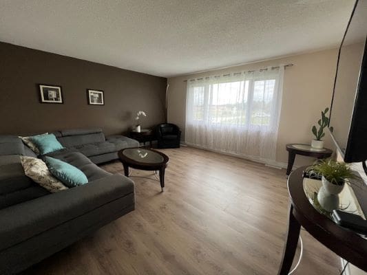 Modern living room with gray sectional sofa.