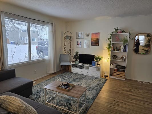 Cozy living room with modern decor elements.