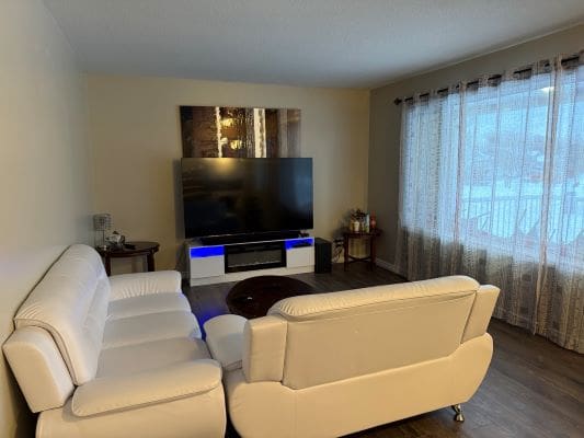 Modern living room with white sofas and TV.