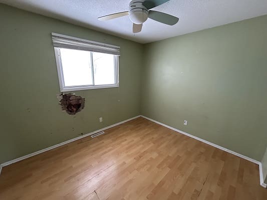 Empty room with damaged green wall.
