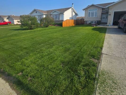 Green lawn in front of suburban houses.