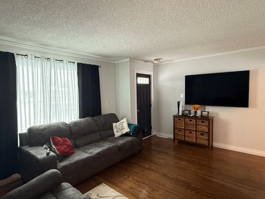 Living room with sofa and wall-mounted TV.
