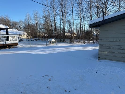 Snowy backyard with trees and shed.
