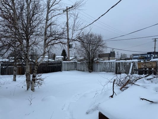 Snow-covered backyard with bare trees.