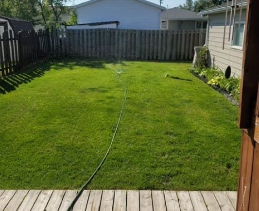Green backyard with hose and wooden deck.