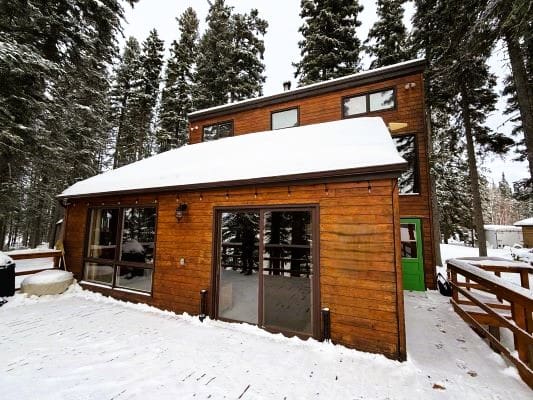 Wooden cabin in snowy forest setting.