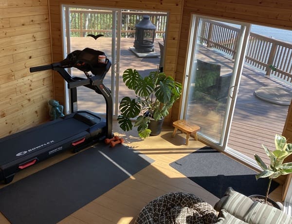 Home gym with treadmill and large windows.
