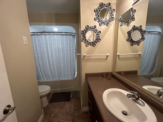 Bathroom with mirror and shower curtain.