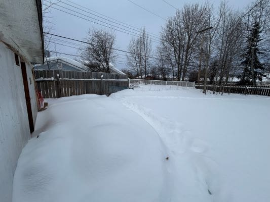 Snow-covered backyard with bare trees.