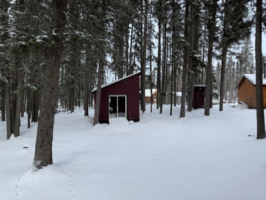 Snowy forest with red cabin and trees.