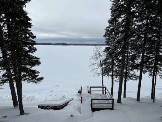 Snowy lake view with trees and dock.