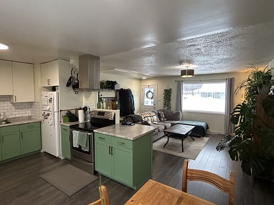 Open-concept kitchen and living room space.