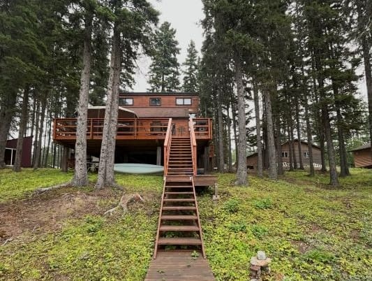 Wooden cabin surrounded by tall pine trees.