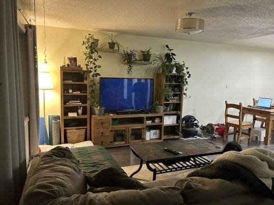 Cozy living room with TV and plants.
